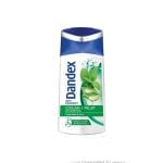 DANDEX COOL MINT 80ML