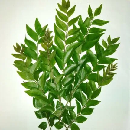 FRESH KARAPINCHA