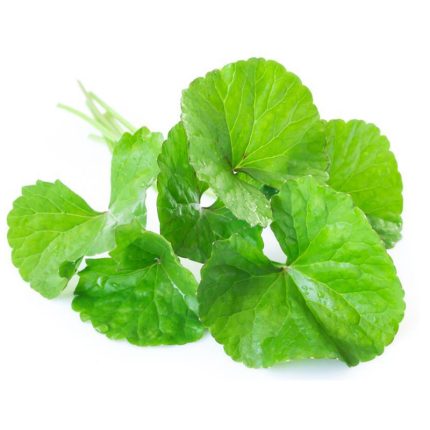 GOTUKOLA 100G