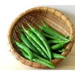 GREEN CHILLI