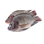 TILAPIA FROZEN  FISH 400G-600G